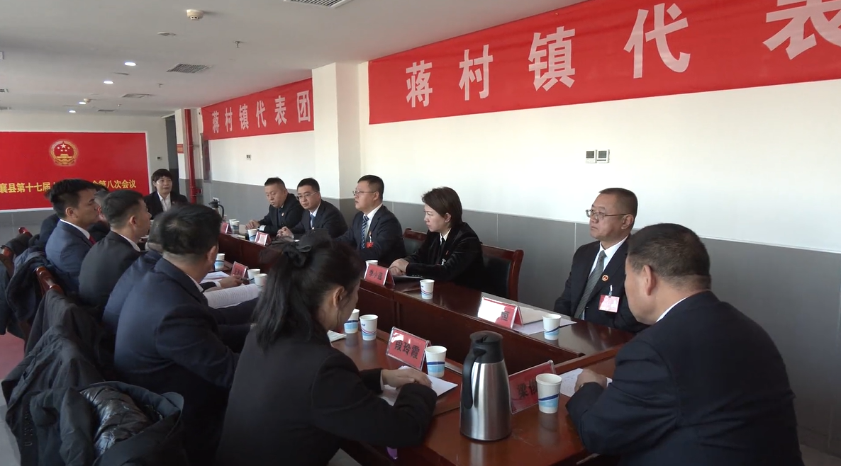 侯晓庆参加县十七届人大八次会议蒋村镇代表...